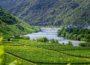 Weinbau an der Mosel